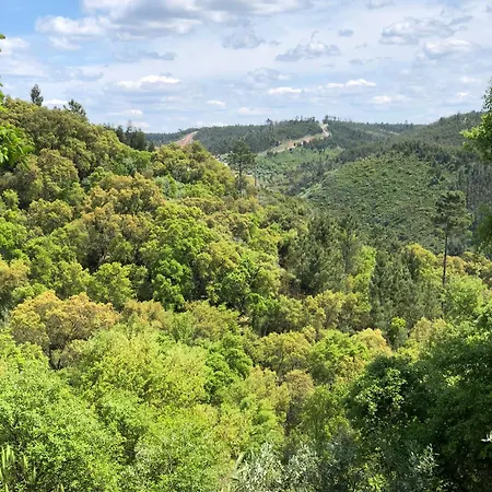 Hébergement de vacances A Casa Dos Avos Abrantes