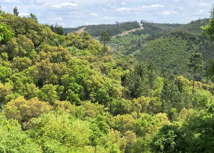 Holiday home A Casa Dos Avos Abrantes