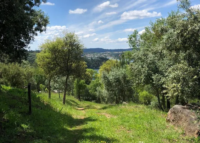 A Casa Dos Avos Holiday home *